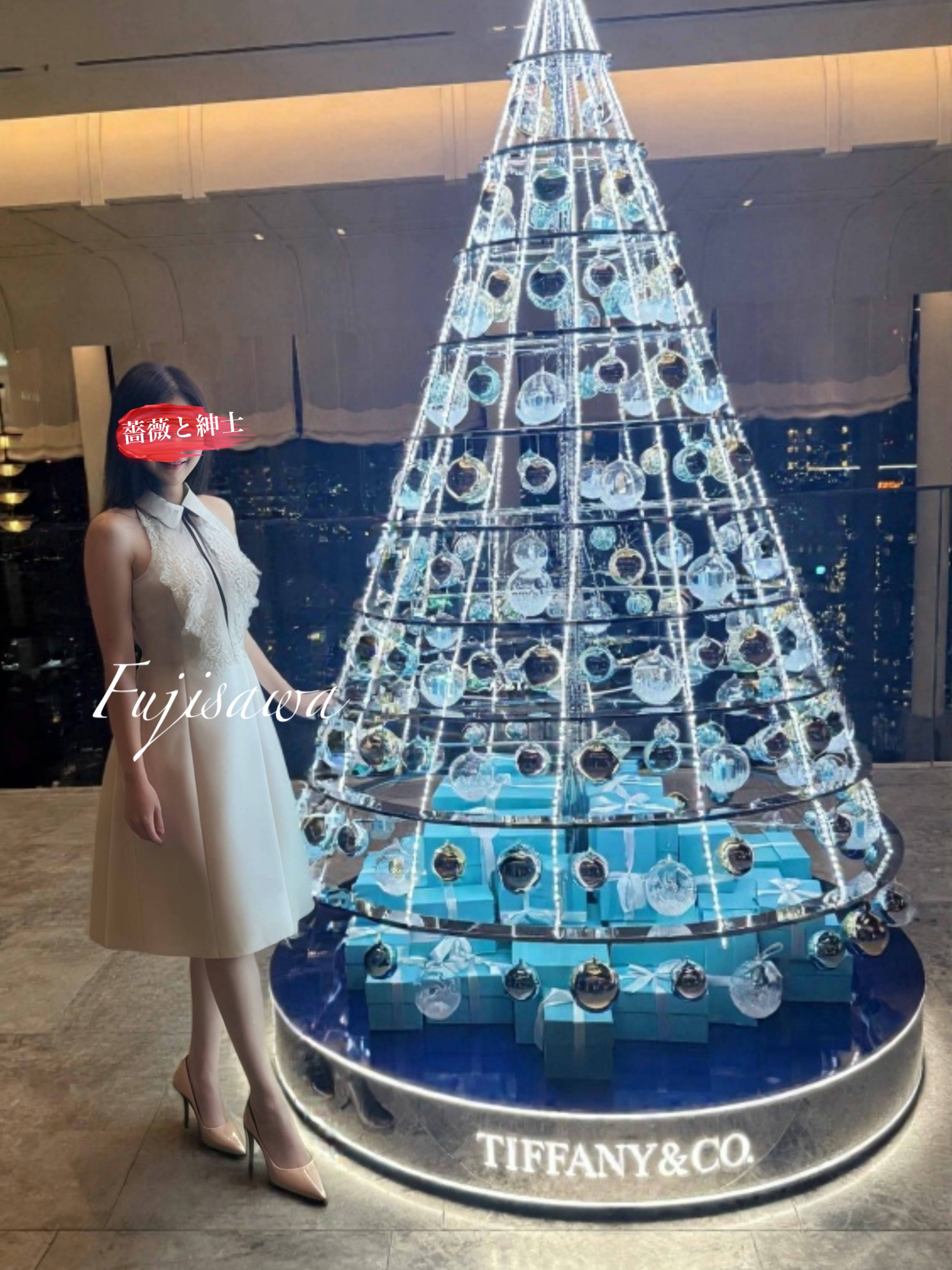 藤沢-ふじさわ-