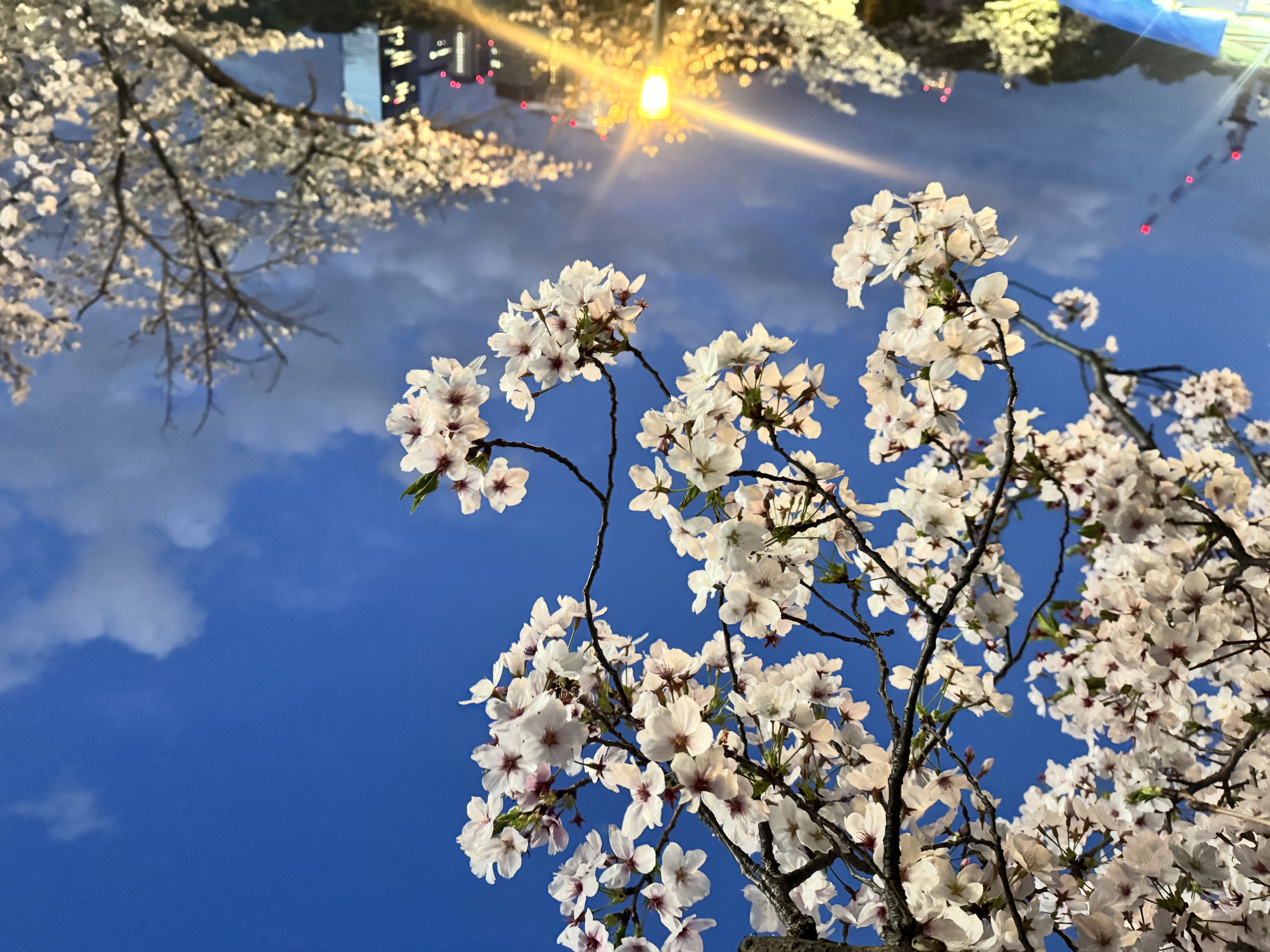 宮沢-みやざわ-