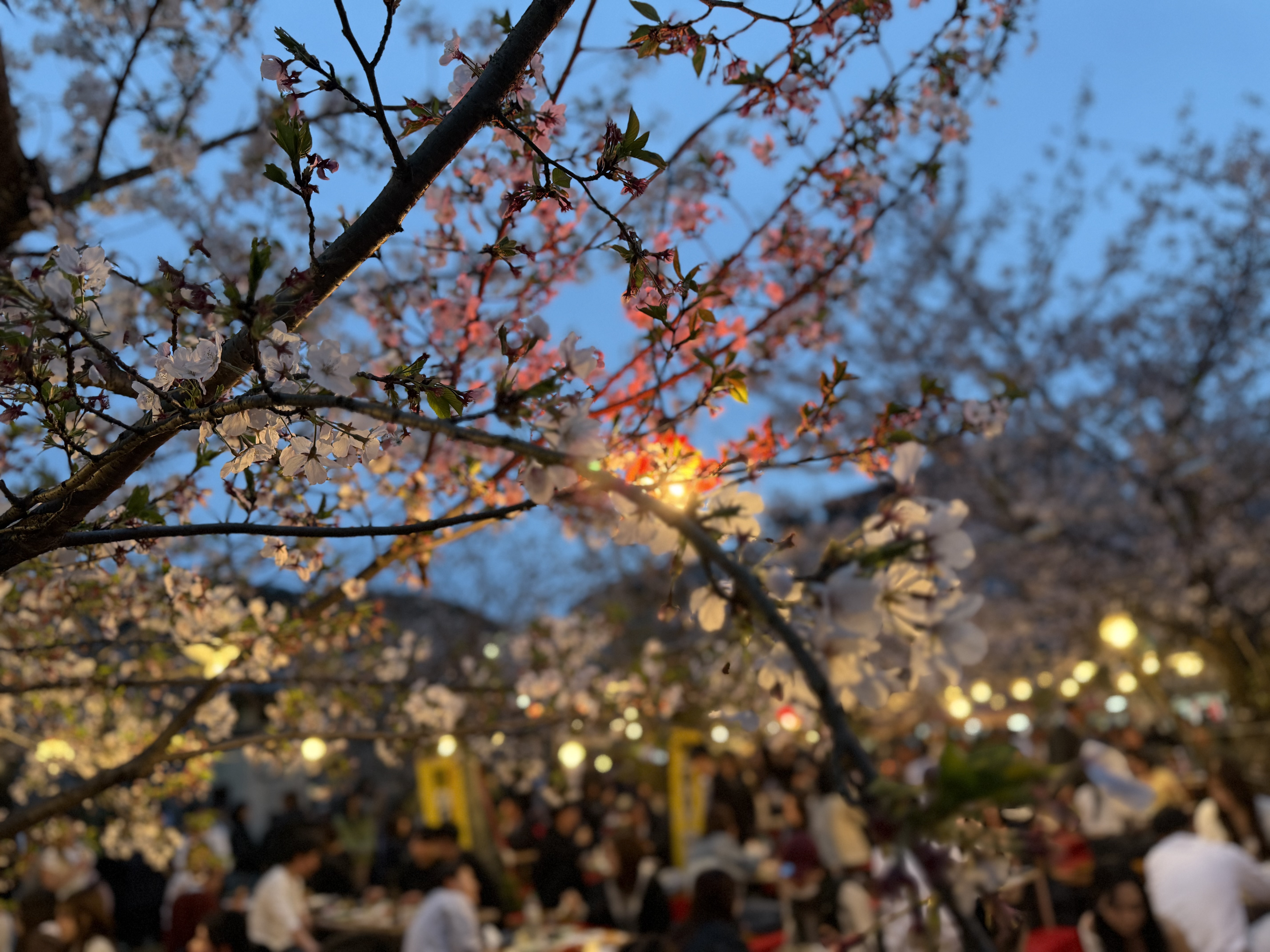 吉成-よしなり-