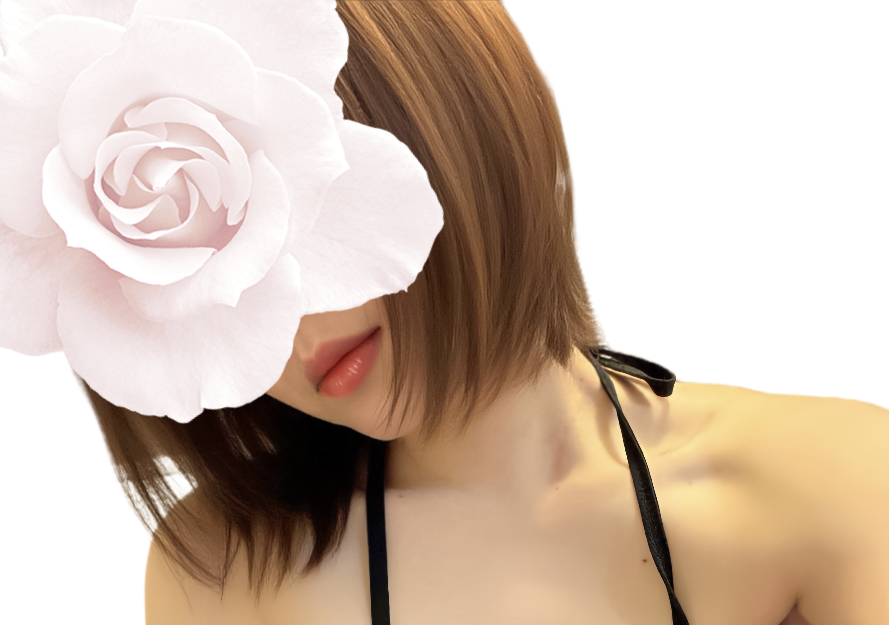 芦田-あしだ-